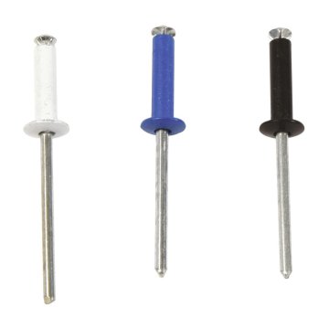 24 rivets pour plaque d’immatriculation – Fixation auto | ALT AUTO