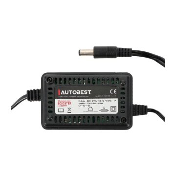 Booster de démarrage 36Ah 1100–2200A 12V/24V – Pro | ALT AUTO